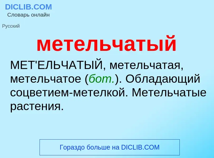 Wat is метельчатый - definition