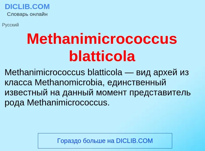 Was ist Methanimicrococcus blatticola - Definition