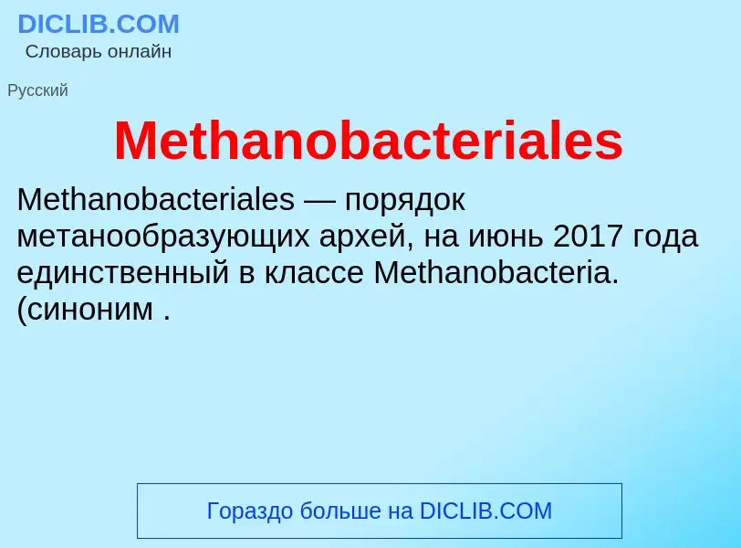 Was ist Methanobacteriales - Definition