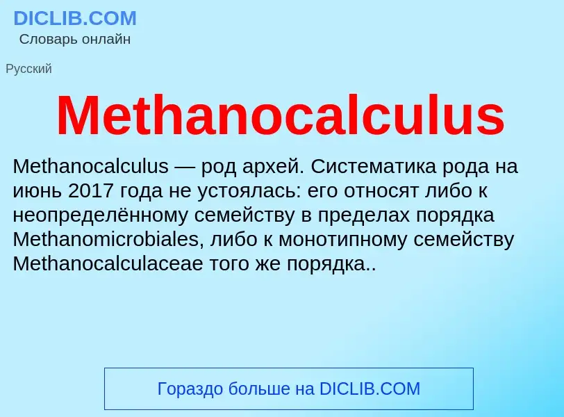 Was ist Methanocalculus - Definition