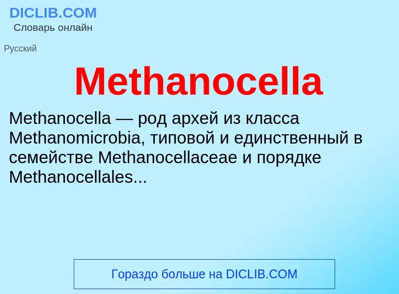 Was ist Methanocella - Definition