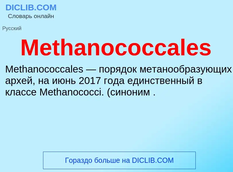 Was ist Methanococcales - Definition