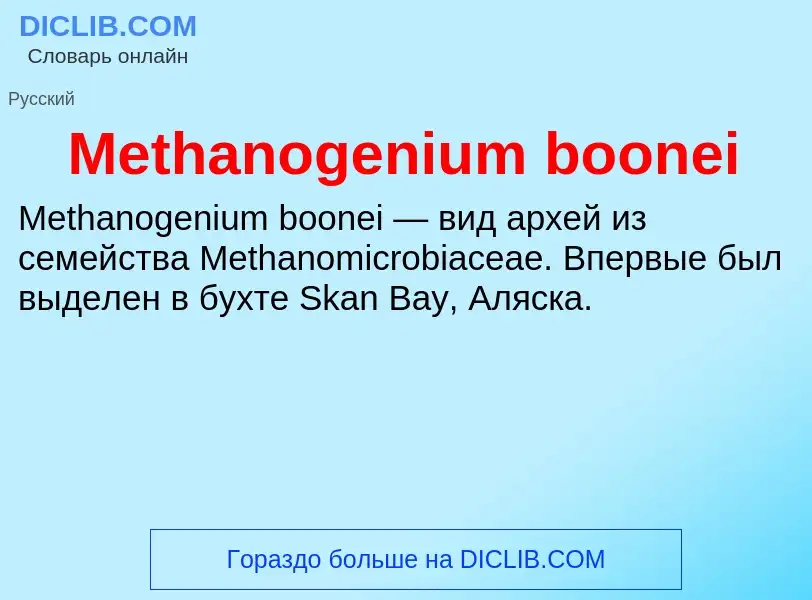 Was ist Methanogenium boonei - Definition