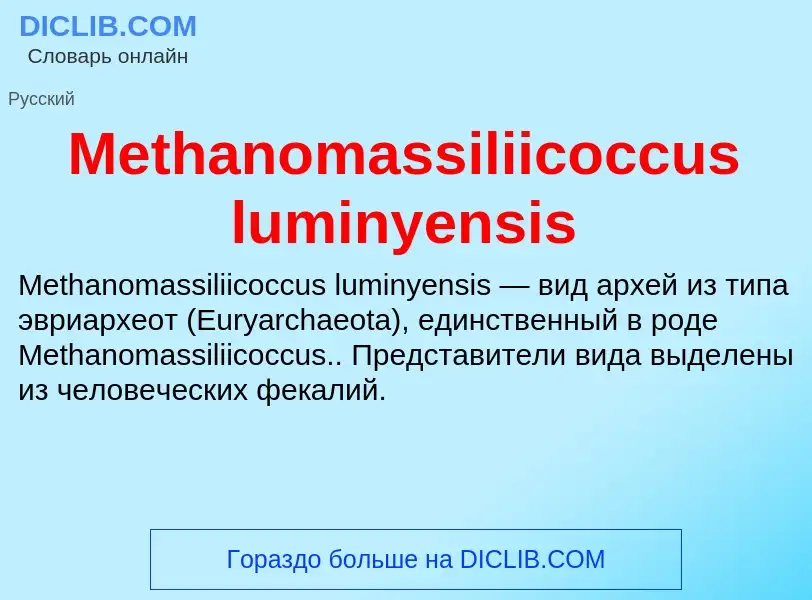 Was ist Methanomassiliicoccus luminyensis - Definition