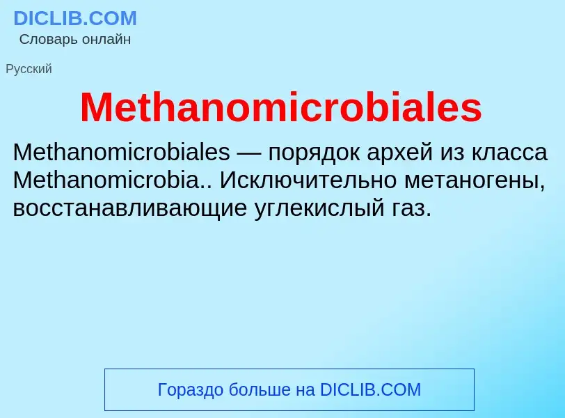 Was ist Methanomicrobiales - Definition