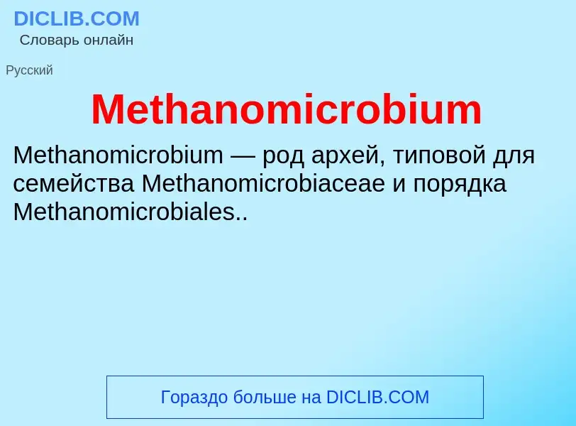 Was ist Methanomicrobium - Definition