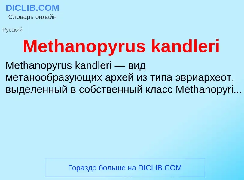 Was ist Methanopyrus kandleri - Definition