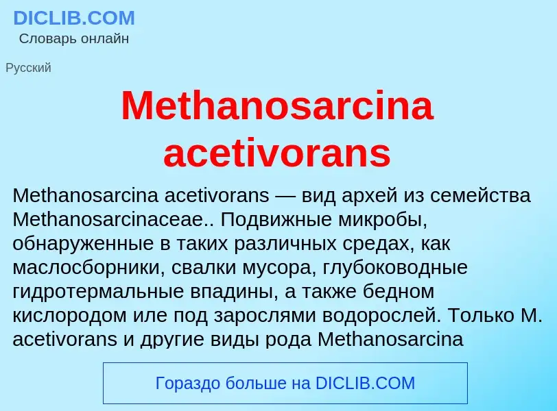 Was ist Methanosarcina acetivorans - Definition