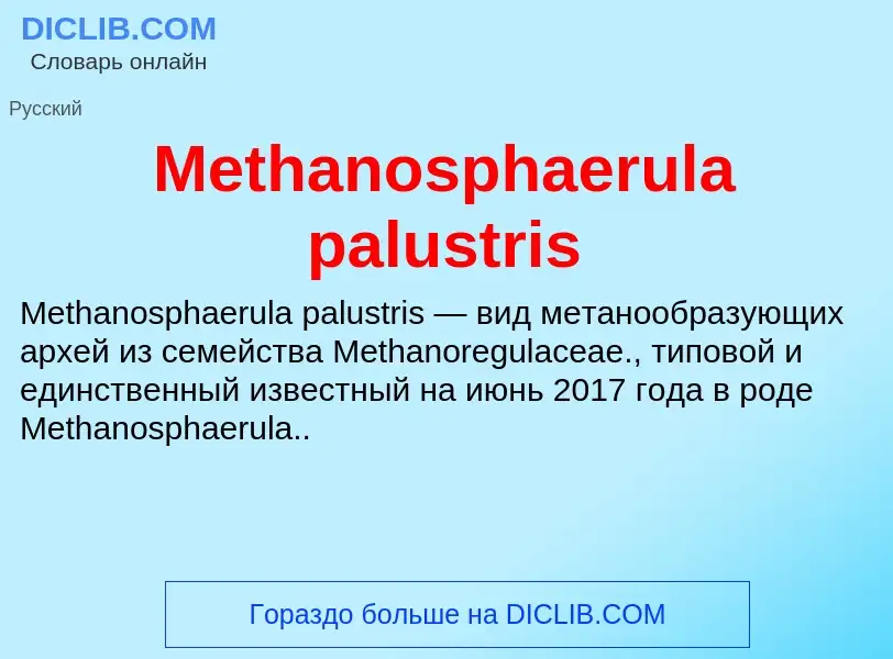 Was ist Methanosphaerula palustris - Definition