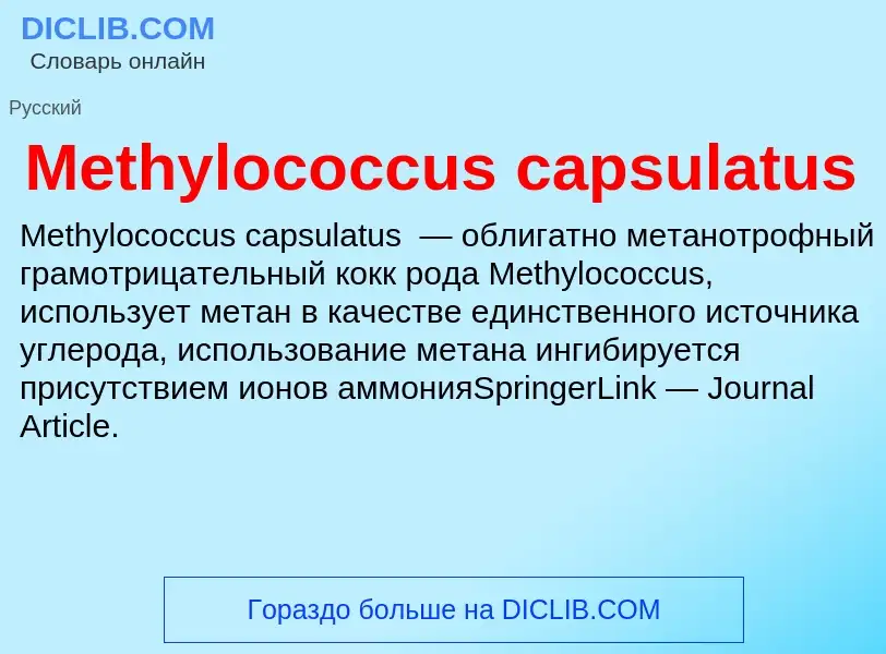 Was ist Methylococcus capsulatus - Definition