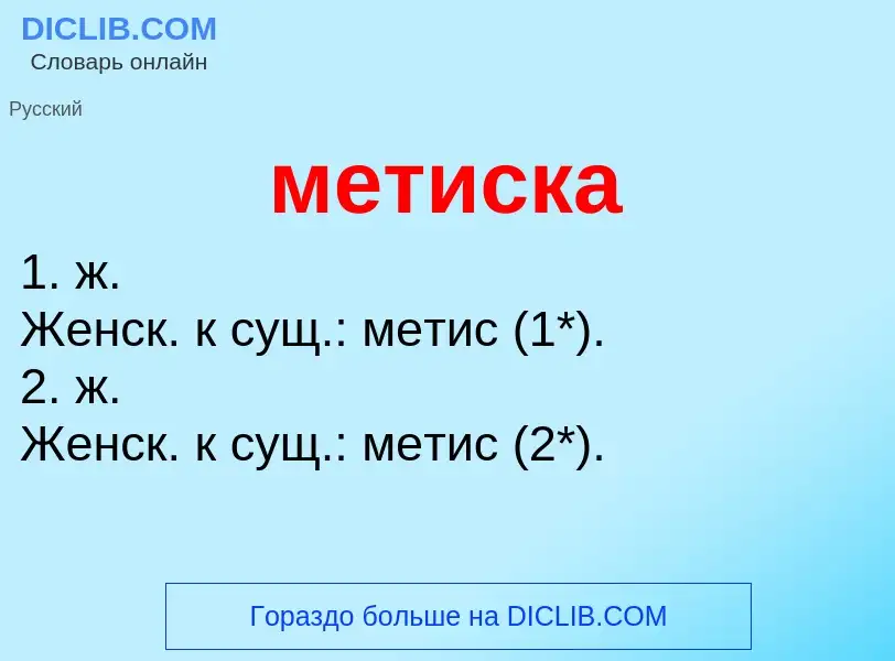 Wat is метиска - definition