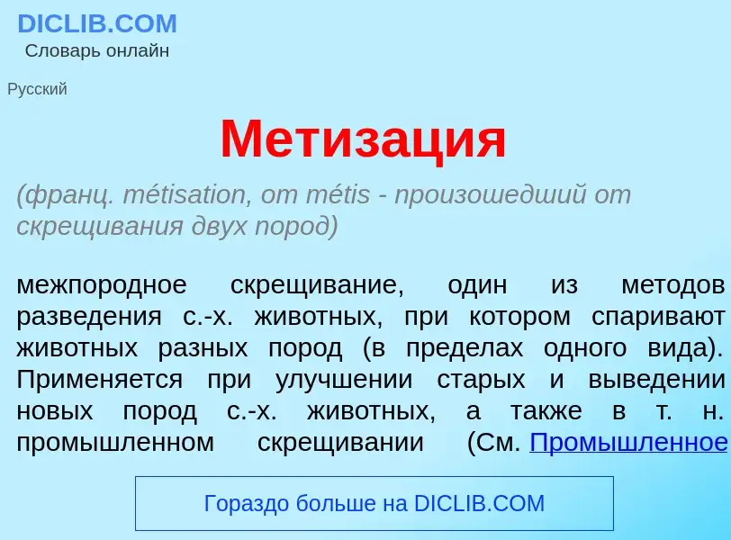 Wat is Метиз<font color="red">а</font>ция - definition