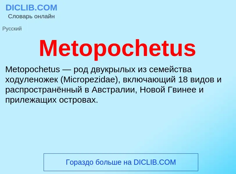 Was ist Metopochetus - Definition