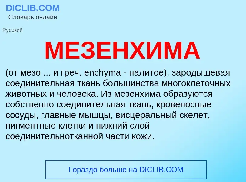 What is МЕЗЕНХИМА - meaning and definition