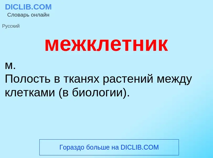 Wat is межклетник - definition