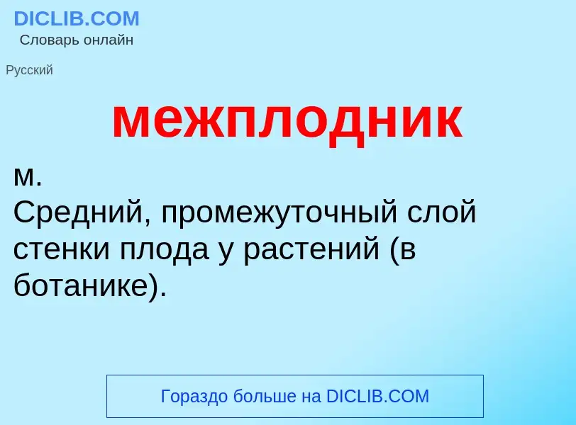 ¿Qué es межплодник? - significado y definición