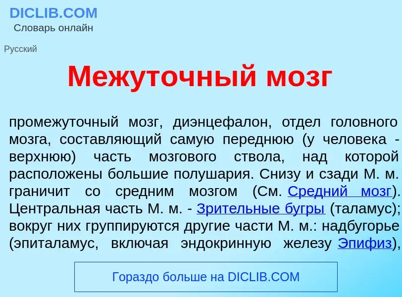 What is Меж<font color="red">у</font>точный мозг - meaning and definition