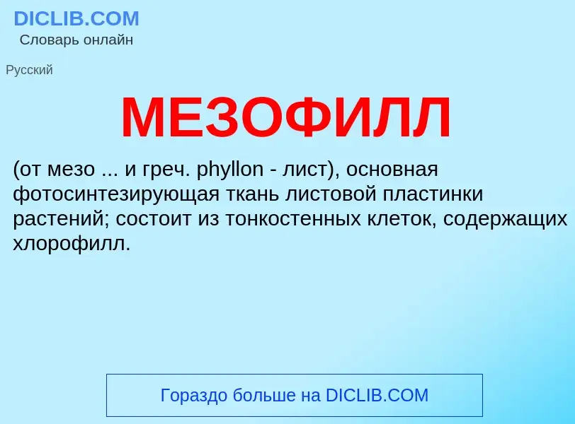 Was ist МЕЗОФИЛЛ - Definition