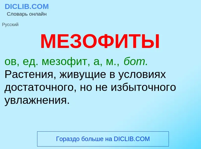 Что такое МЕЗОФИТЫ - определение