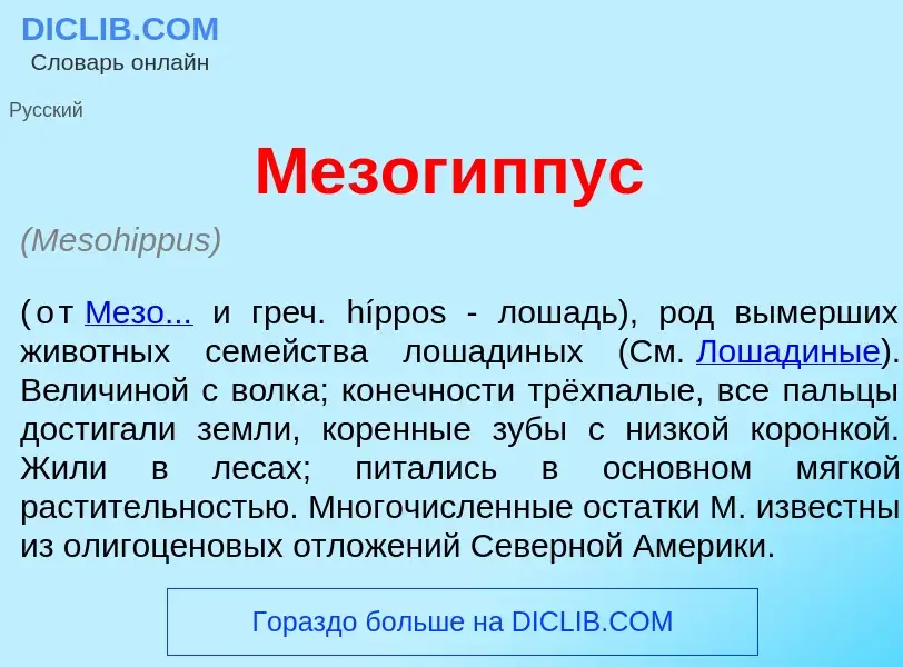 Что такое Мезог<font color="red">и</font>ппус - определение