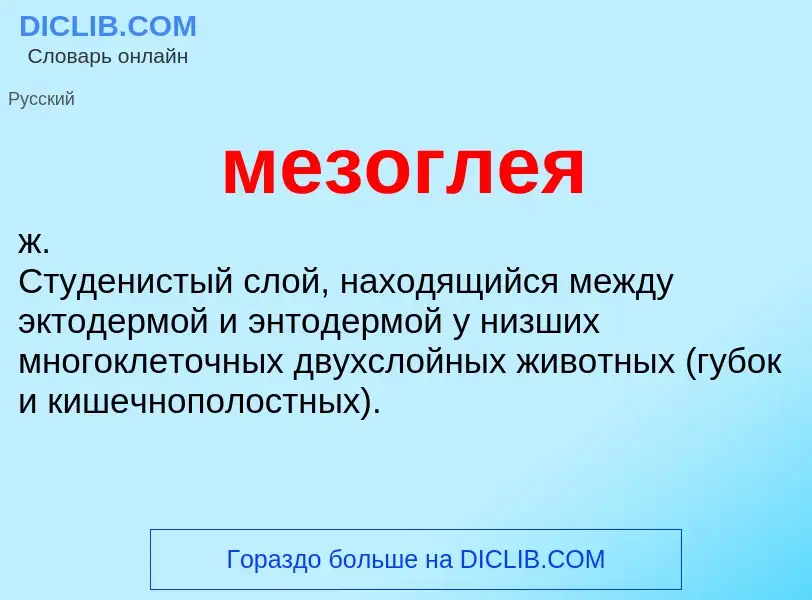 Was ist мезоглея - Definition