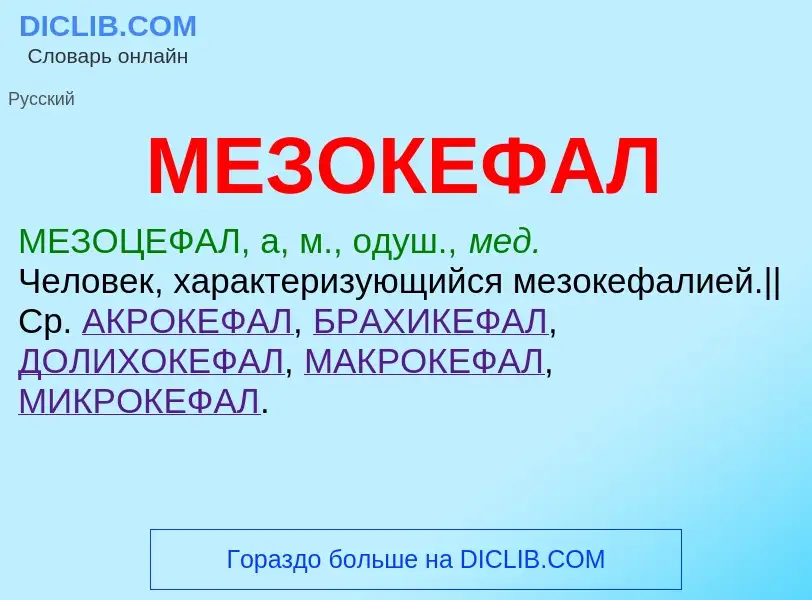 Τι είναι МЕЗОКЕФАЛ - ορισμός