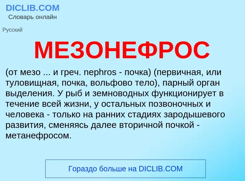 O que é МЕЗОНЕФРОС - definição, significado, conceito