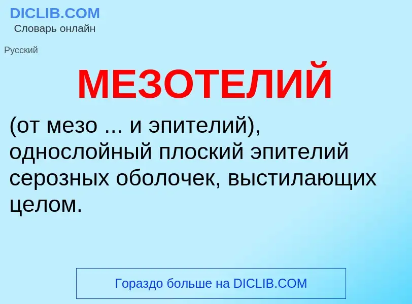 What is МЕЗОТЕЛИЙ - meaning and definition