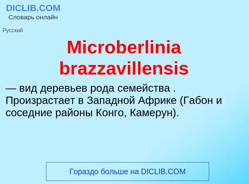 Was ist Microberlinia brazzavillensis - Definition