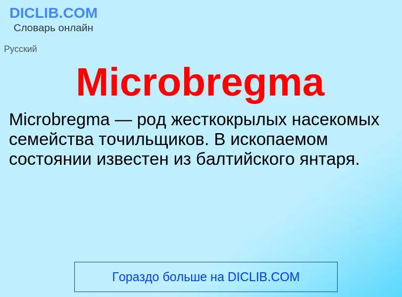 Was ist Microbregma - Definition