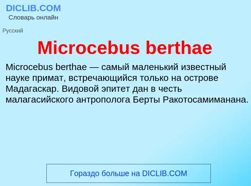 Was ist Microcebus berthae - Definition