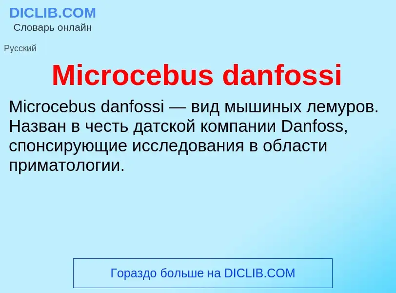 Was ist Microcebus danfossi - Definition