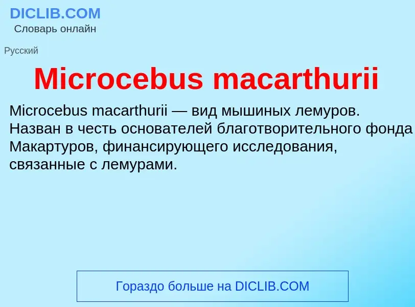 Was ist Microcebus macarthurii - Definition