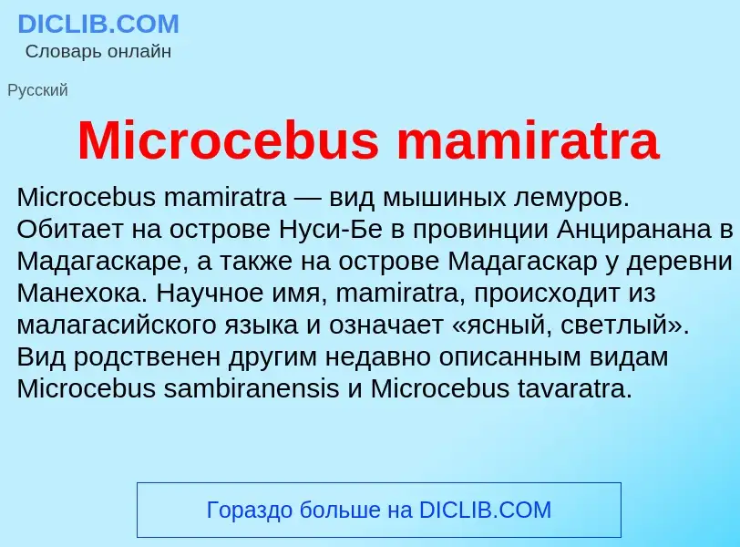 Was ist Microcebus mamiratra - Definition