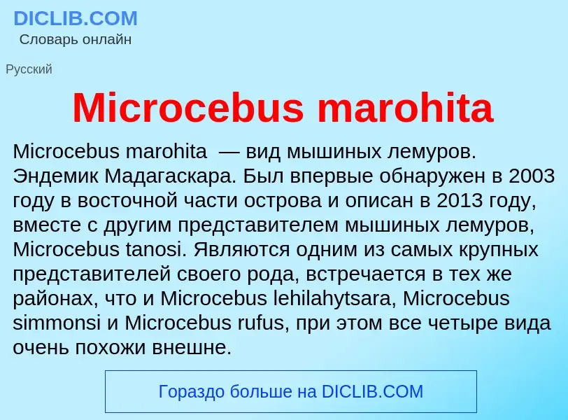 Was ist Microcebus marohita - Definition