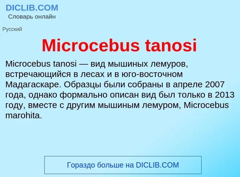 Was ist Microcebus tanosi - Definition