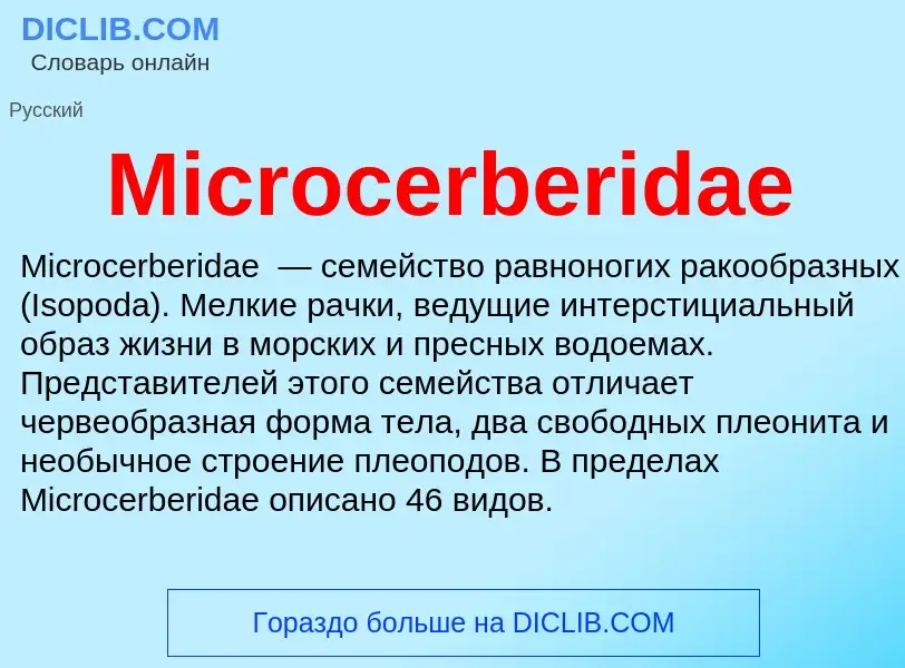 Was ist Microcerberidae - Definition