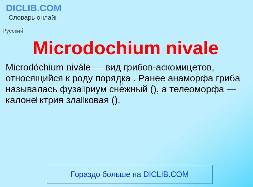 Was ist Microdochium nivale - Definition