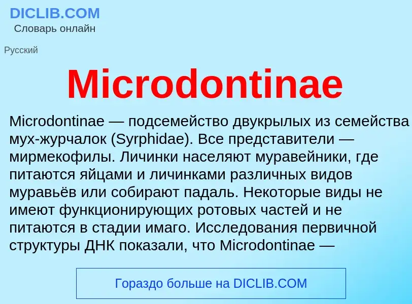 Was ist Microdontinae - Definition