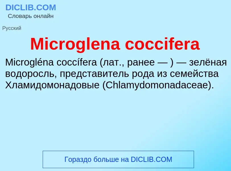 Was ist Microglena coccifera - Definition