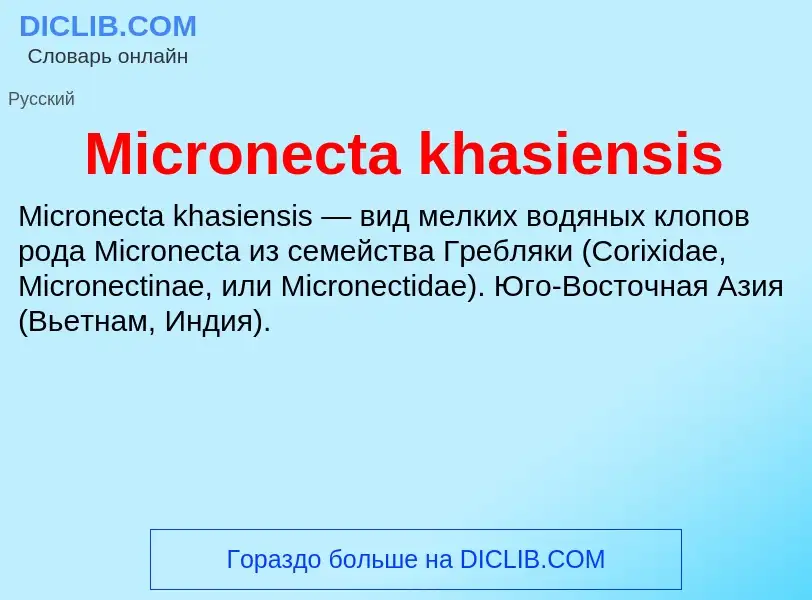 Was ist Micronecta khasiensis - Definition