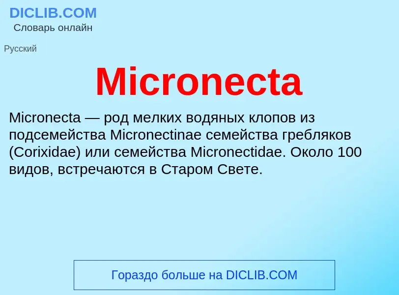 Was ist Micronecta - Definition