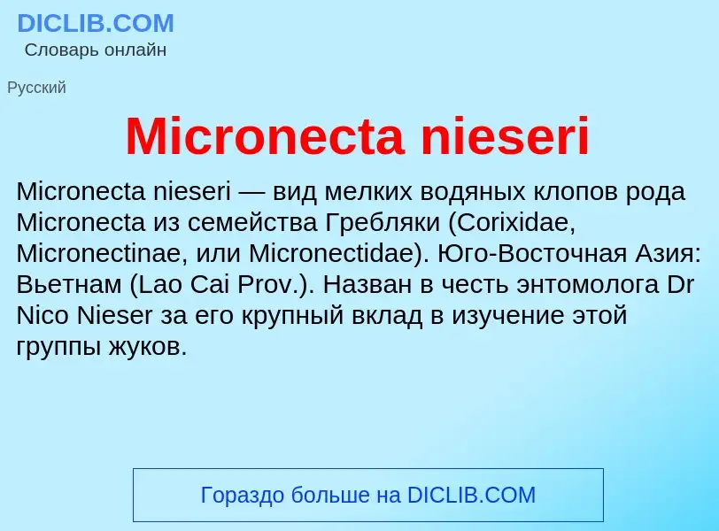 Was ist Micronecta nieseri - Definition