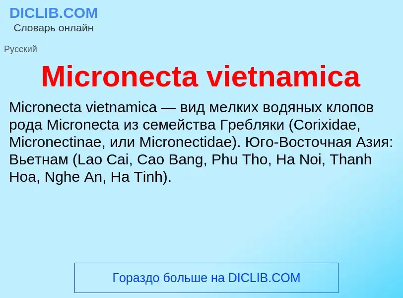 Was ist Micronecta vietnamica - Definition