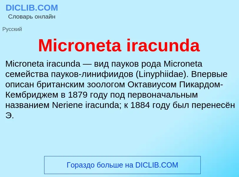 Was ist Microneta iracunda - Definition