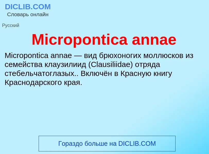 Was ist Micropontica annae - Definition