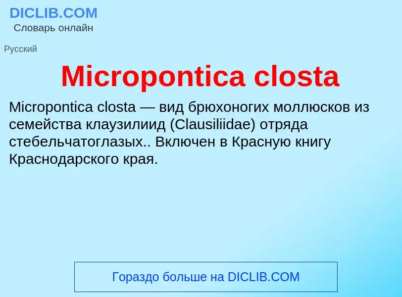 Was ist Micropontica closta - Definition