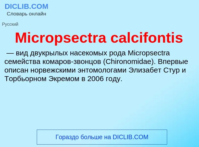 Was ist Micropsectra calcifontis - Definition