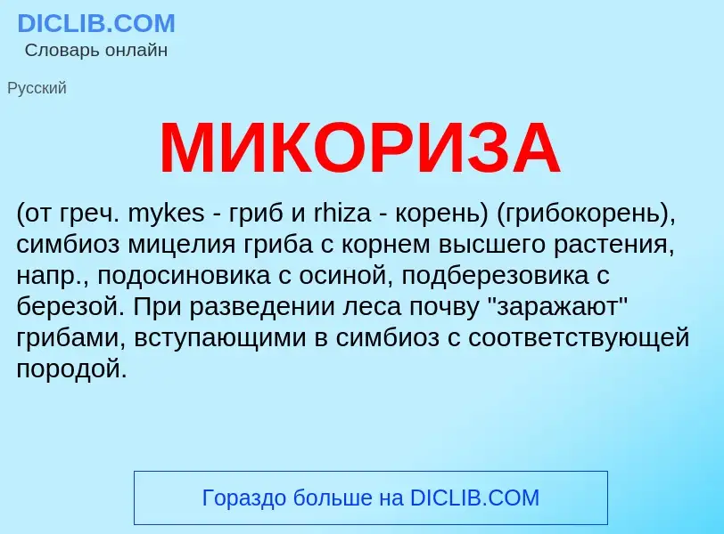 What is МИКОРИЗА - meaning and definition