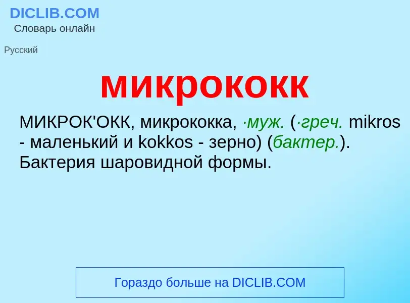 Wat is микрококк - definition